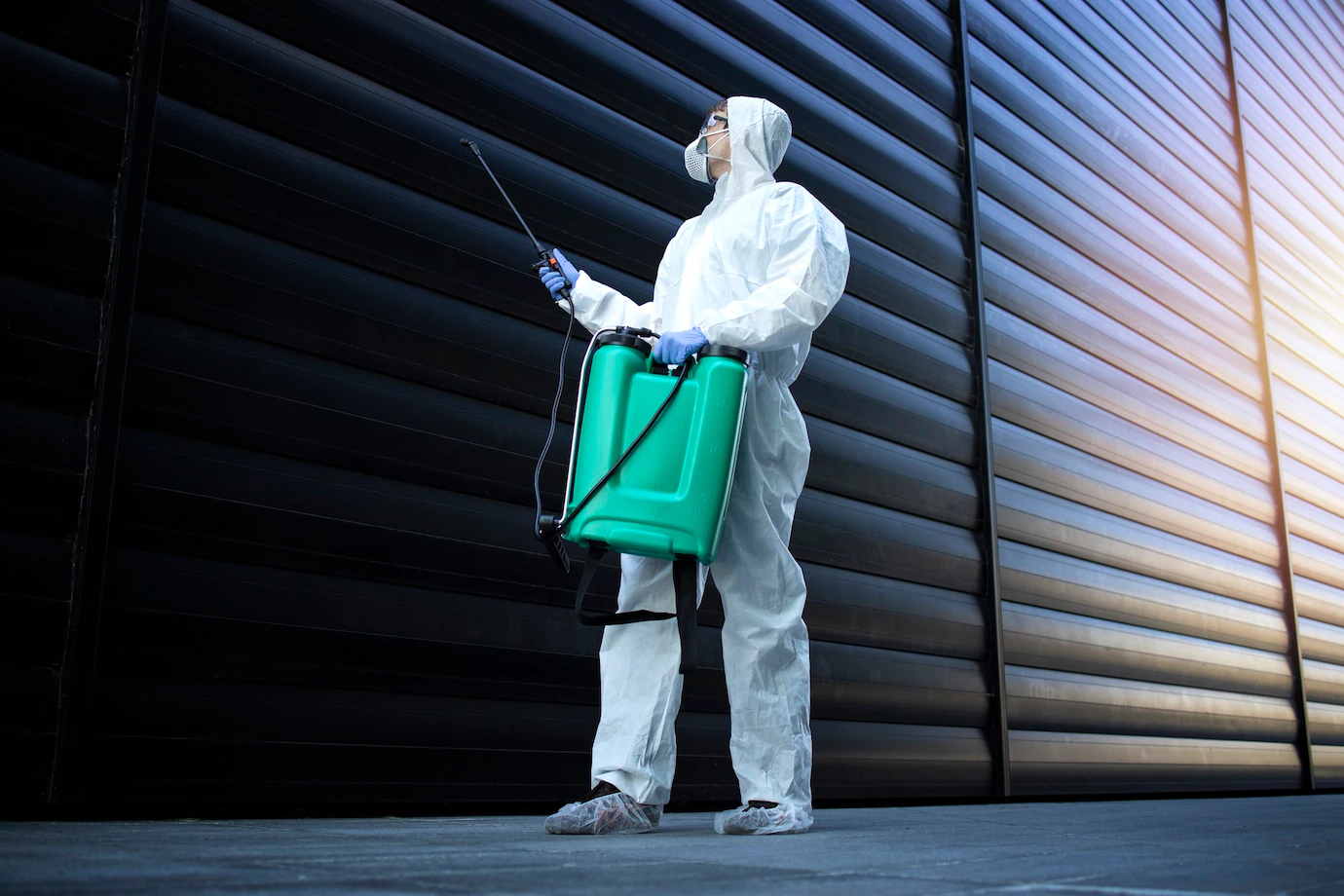 pest-control-solutions